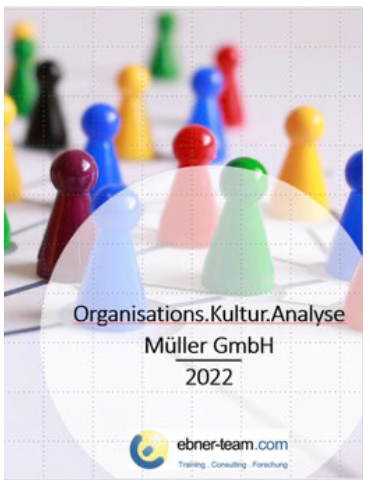 Organisationskultur-Analyse